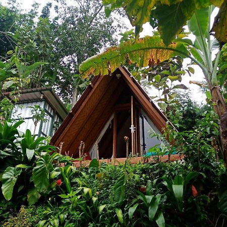 Bed and Breakfast Eco Bedugul Adventurer Camp Exterior foto