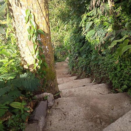 Bed and Breakfast Eco Bedugul Adventurer Camp Exterior foto