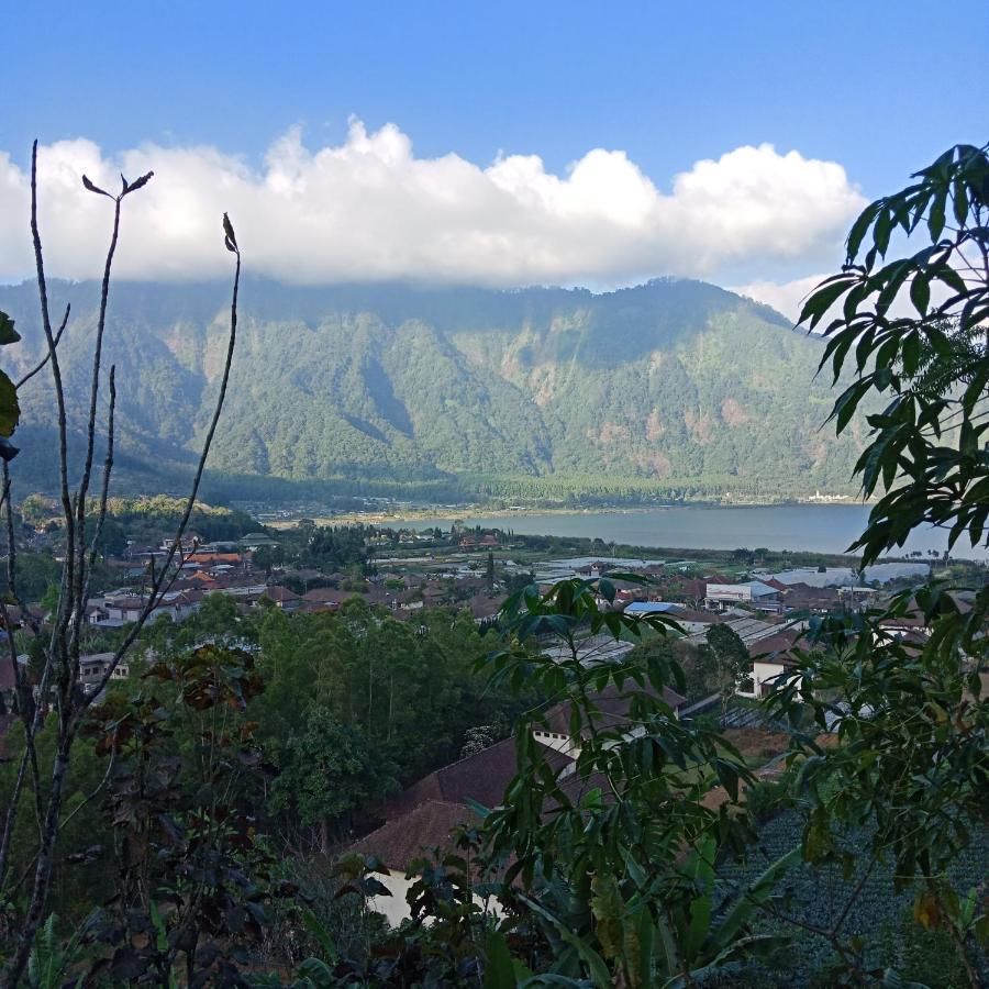 Bed and Breakfast Eco Bedugul Adventurer Camp Exterior foto