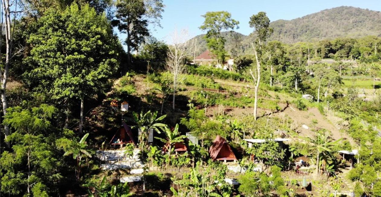 Bed and Breakfast Eco Bedugul Adventurer Camp Exterior foto