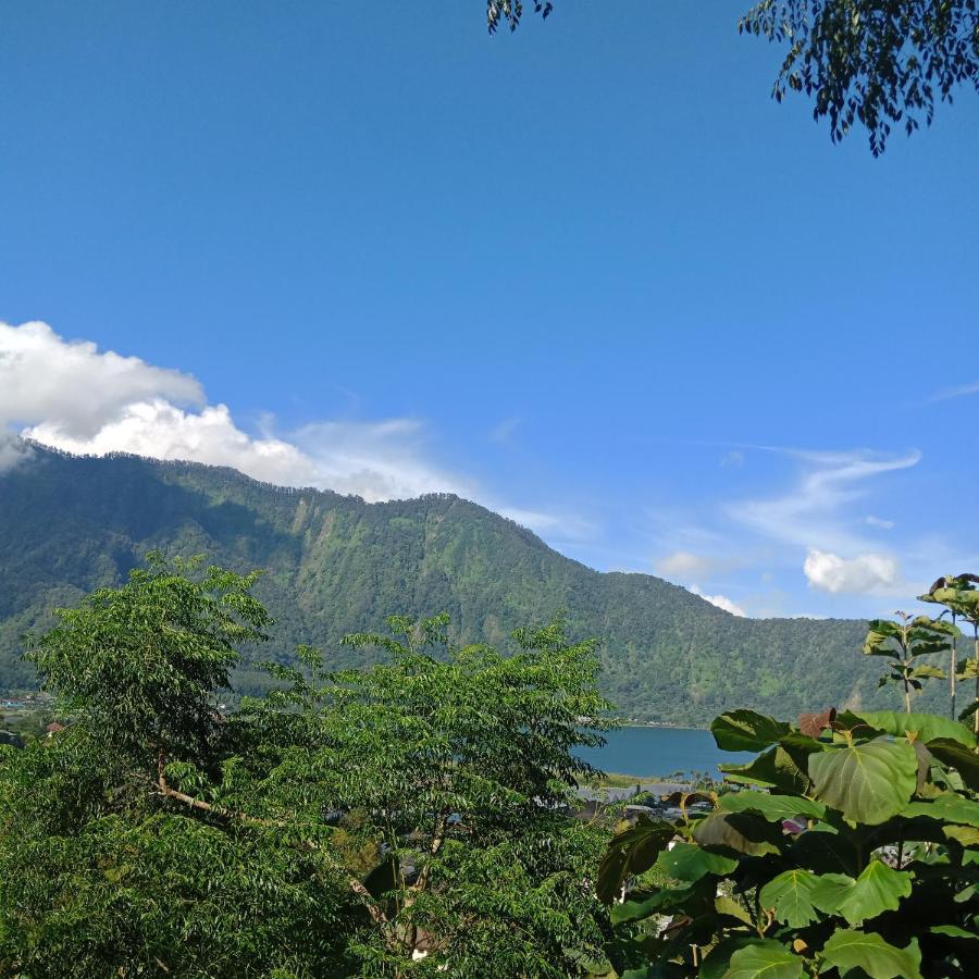 Bed and Breakfast Eco Bedugul Adventurer Camp Exterior foto