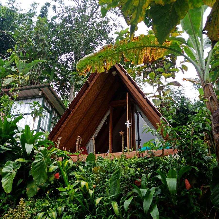 Bed and Breakfast Eco Bedugul Adventurer Camp Exterior foto