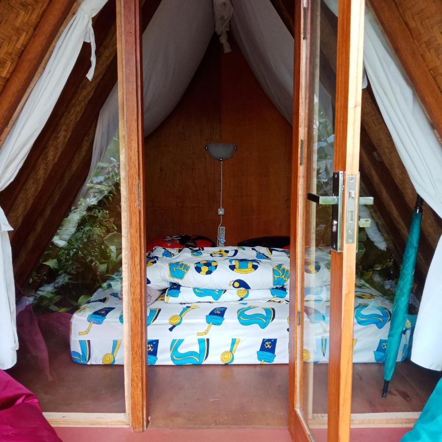 Bed and Breakfast Eco Bedugul Adventurer Camp Exterior foto