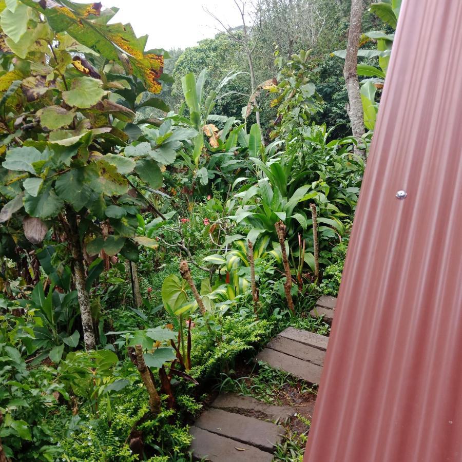 Bed and Breakfast Eco Bedugul Adventurer Camp Exterior foto