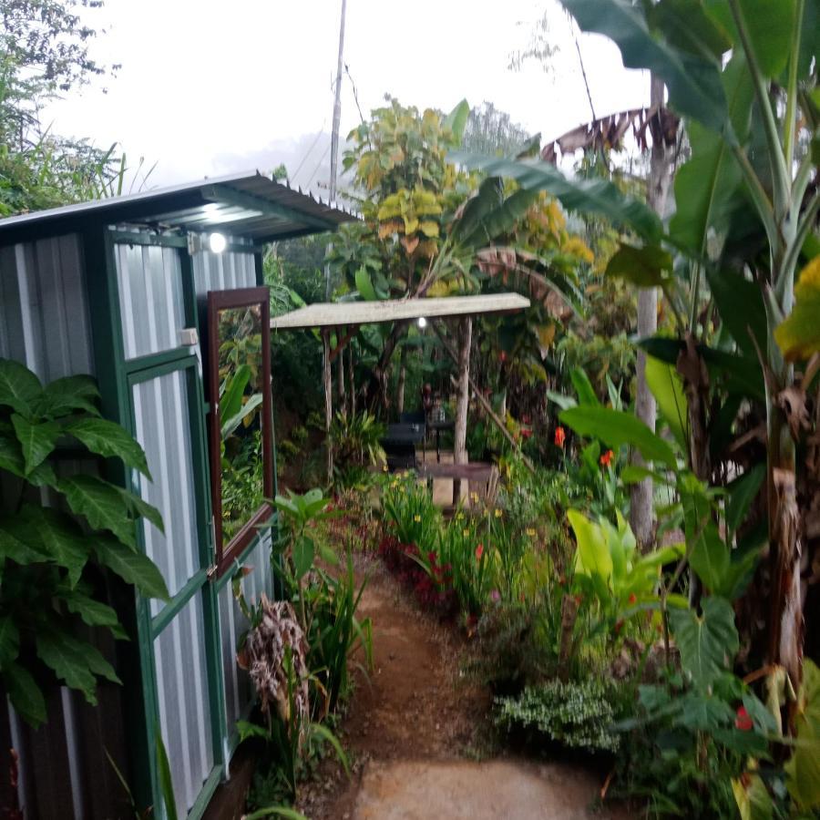 Bed and Breakfast Eco Bedugul Adventurer Camp Exterior foto
