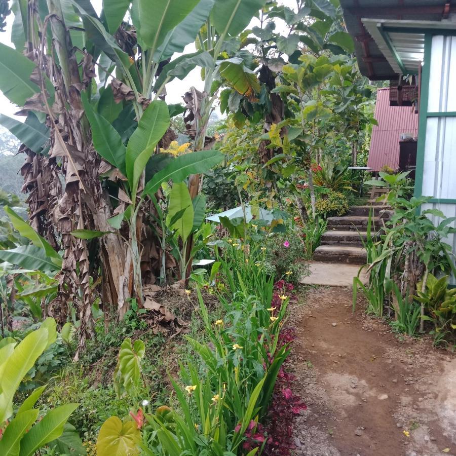 Bed and Breakfast Eco Bedugul Adventurer Camp Exterior foto