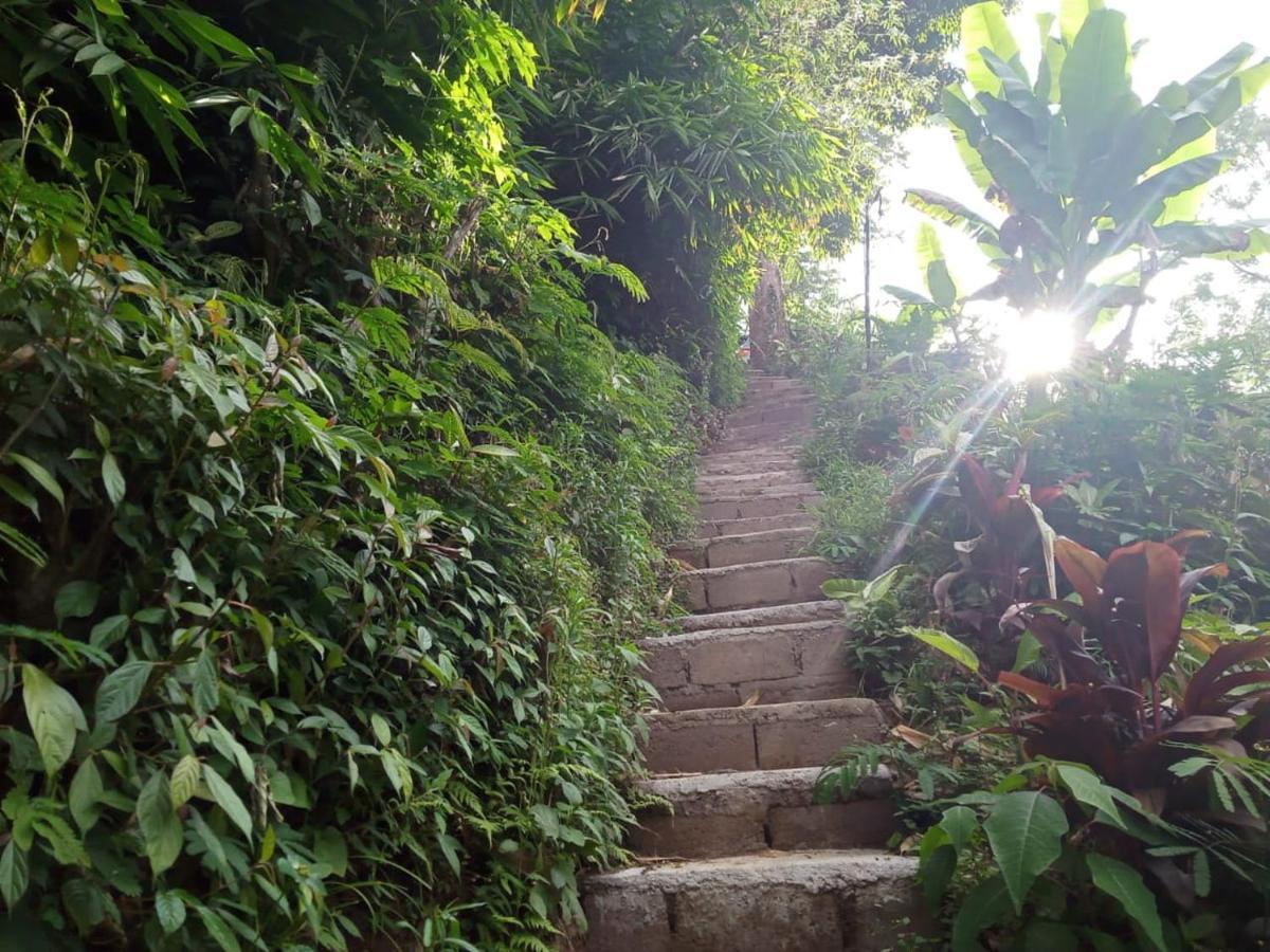 Bed and Breakfast Eco Bedugul Adventurer Camp Exterior foto